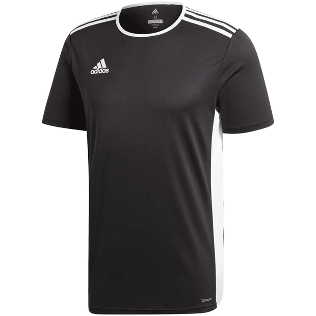 Adidas Entrada 22 Soccer Uniform