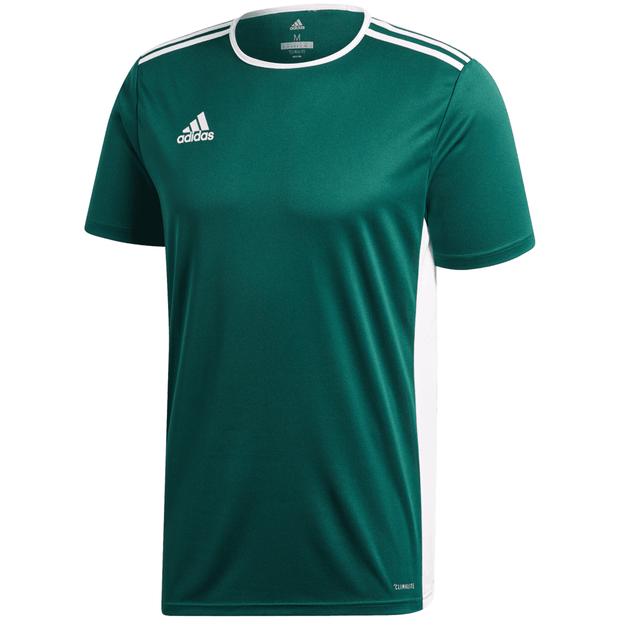 Adidas Entrada 22 Soccer Uniform