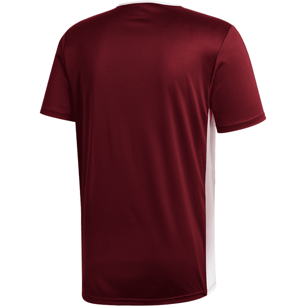 Adidas Entrada 22 Soccer Uniform