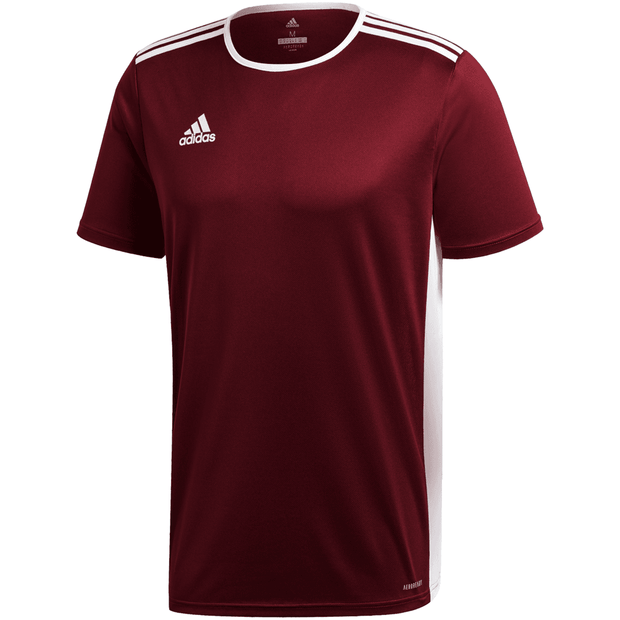 Adidas Entrada 22 Soccer Uniform