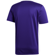 Adidas Entrada 22 Soccer Uniform