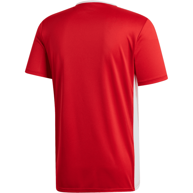 Adidas Entrada 22 Soccer Uniform