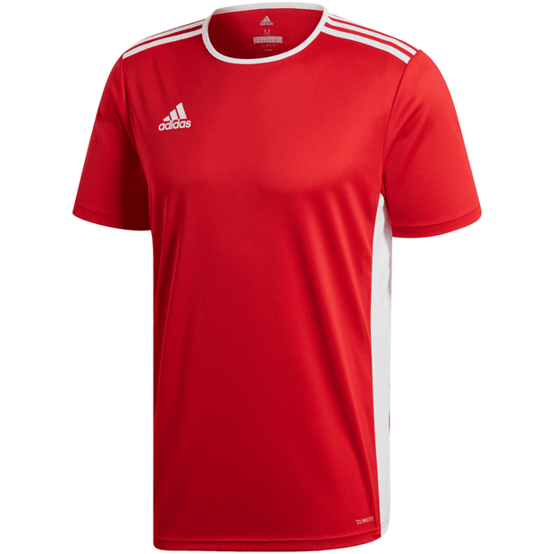 Adidas Entrada 22 Soccer Uniform