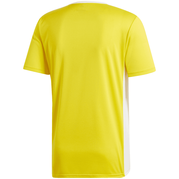 Adidas Entrada 22 Soccer Uniform